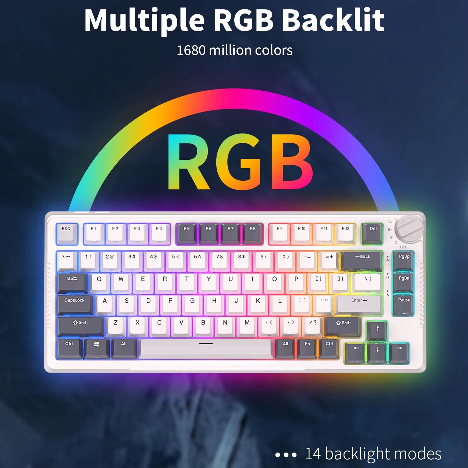 H81 Royal Kludge Gasket Structure Tri-Mode Mechanical Keyboard 81 Key 80% RGB Backlit 2.4G Wireless Bluetooth Gamer Keyboard